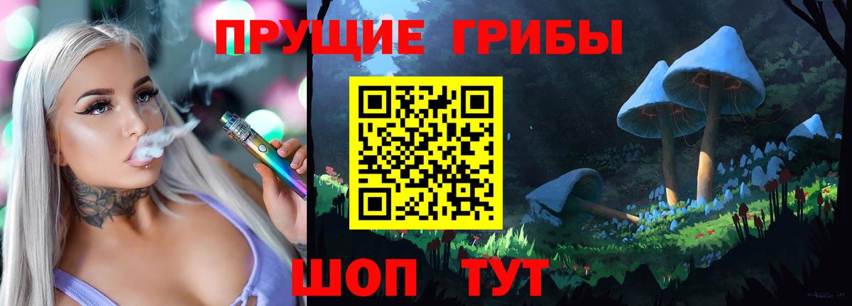 Псилоцибиновые грибы Psilocybe Лосино-Петровский