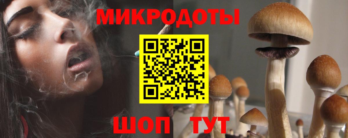 Псилоцибиновые грибы Psilocybine cubensis  Вход с VPN  Лосино-Петровский 